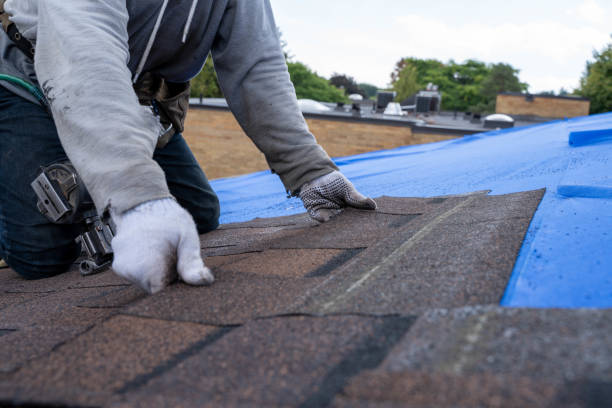 Best Roof Insulation Installation  in Kaaawa, HI